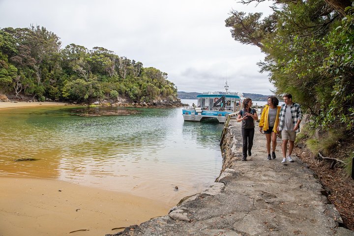 Ulva Island Explorer from Stewart Island