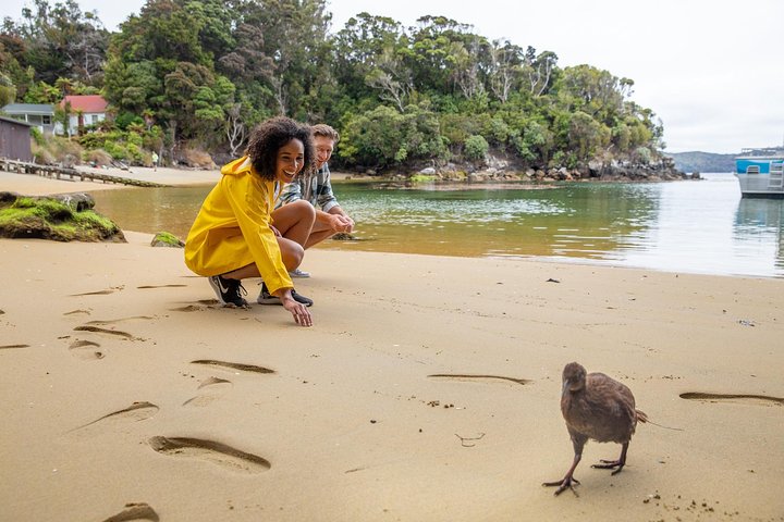 Ulva Island Explorer from Stewart Island