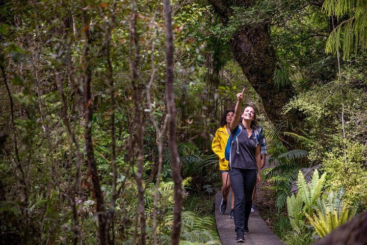 Ulva Island Explorer from Stewart Island