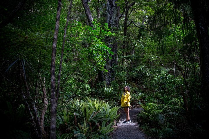 Ulva Island Explorer from Stewart Island
