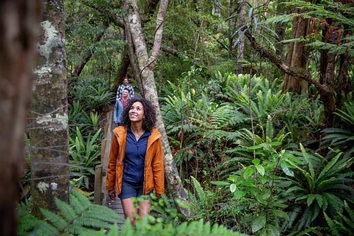 Ulva Island Explorer from Stewart Island