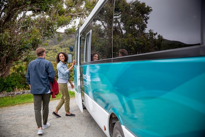Stewart Island: Village and Bays Tour