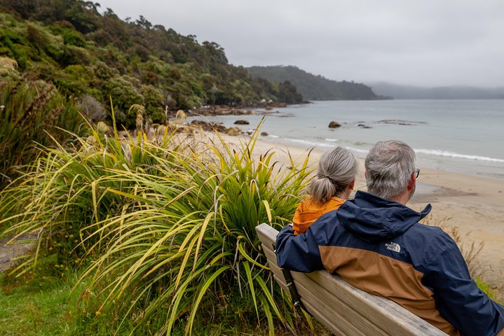 Stewart Island: Village and Bays Tour