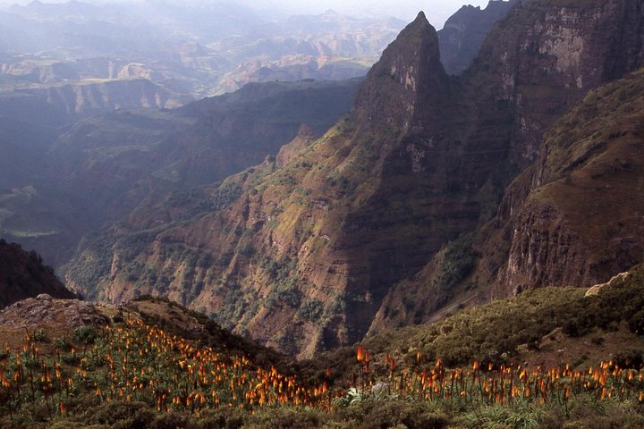 Day Trip to Simien Mountains from Gondar