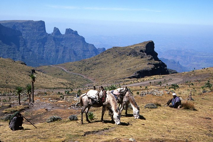 Day Trip to Simien Mountains from Gondar