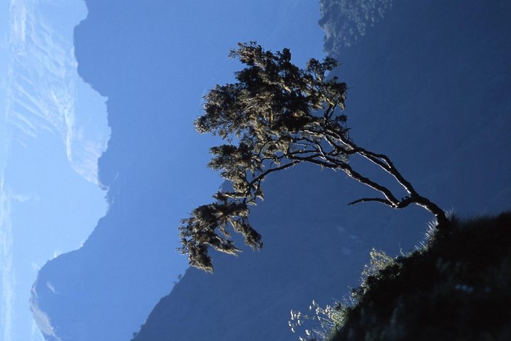 Day Trip to Simien Mountains from Gondar