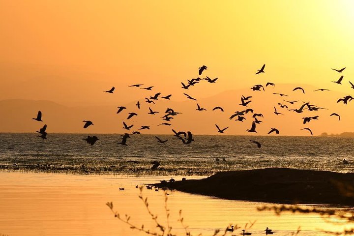 Ethiopia's Danakil Depression; 3Days / 2 Nights