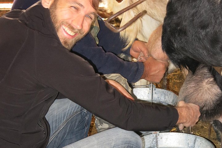 Troodos Mountains Halloumi Making: All Inclusive Workshop & Tour