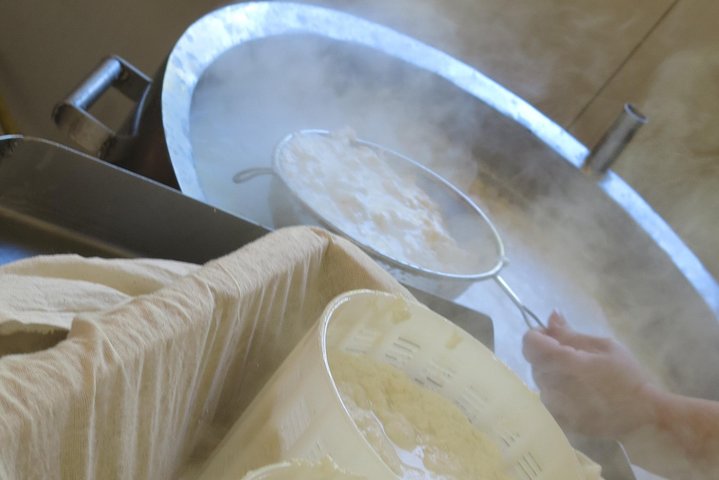 Troodos Mountains Halloumi Making: All Inclusive Workshop & Tour