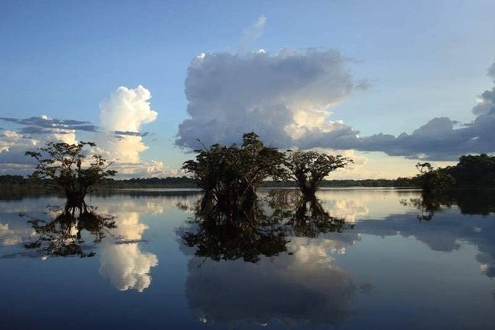 Cuyabeno Amazon Reserve: 5-Day Deep Jungle Adventure