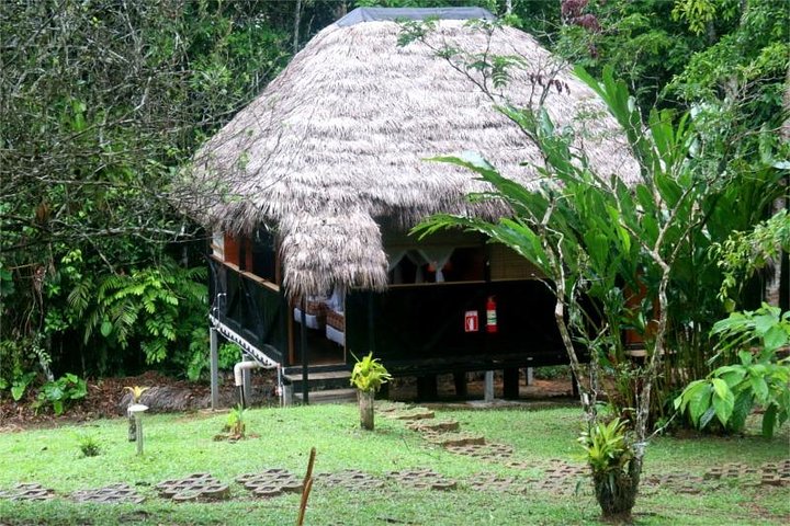 Cuyabeno Amazon Reserve: 5-Day Deep Jungle Adventure