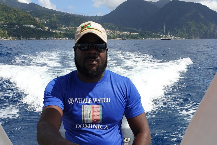 PH Whale Watch & Dolphin Cruise in Dominica
