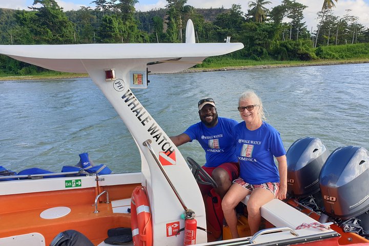PH Whale Watch & Dolphin Cruise in Dominica