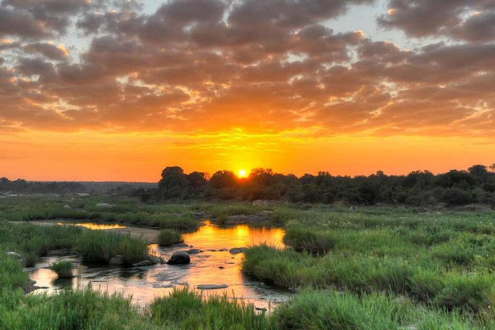 Full Day Ultimate Pilanesberg National Park Safari from Johannesburg or Pretoria