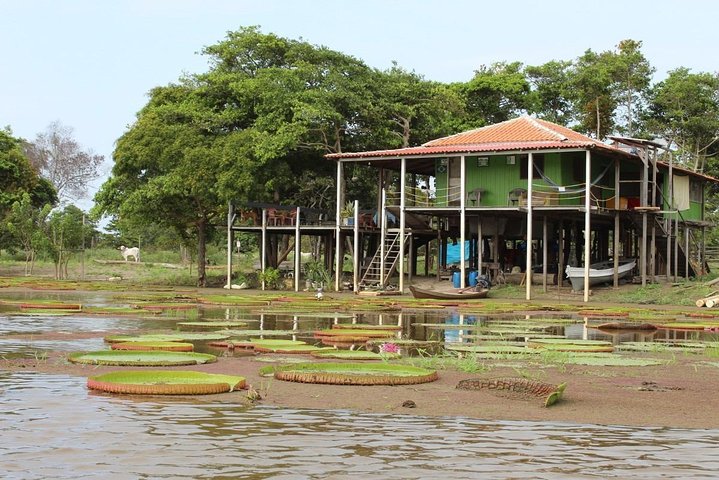 Alter do Chão Jarí Canal Tour