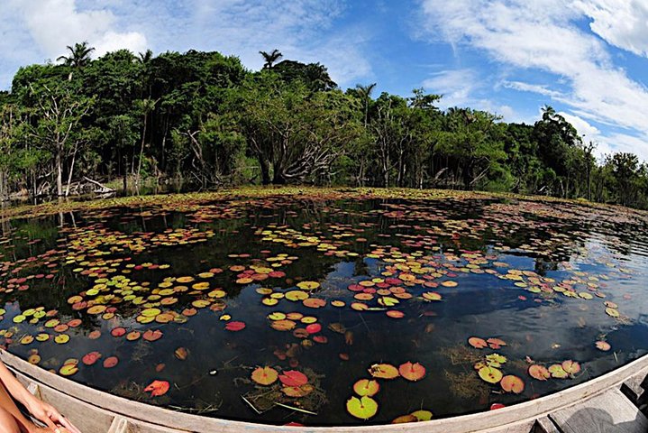 Alter do Chão Jarí Canal Tour