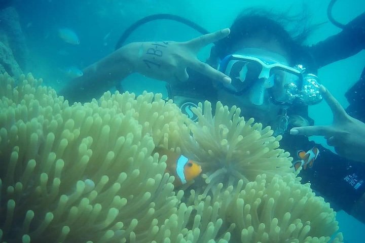 Scuba Diving (shore Dive) at Havelock Islands