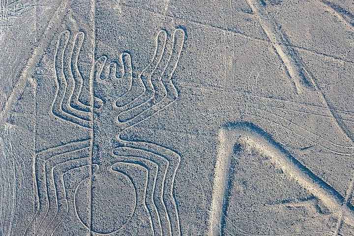 Full day tour to The Huacachina Oasis and The Nazca Lines overflight