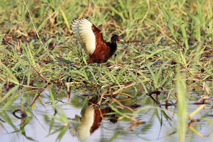 Santarém Maica Lake Tour