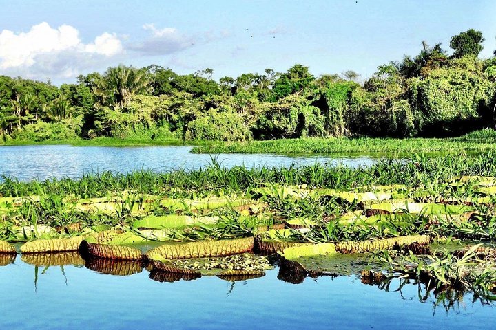 Santarém Maica Lake Tour