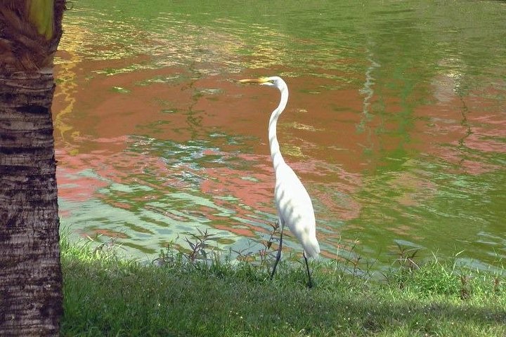 Santarém Maica Lake Tour