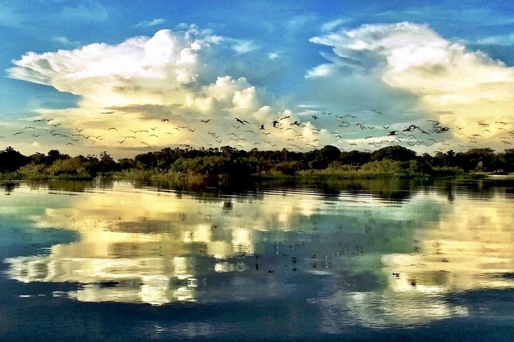 Santarém Maica Lake Tour