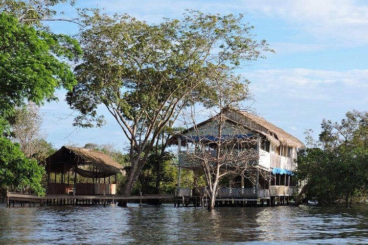 Alter do Chão FLONA Jamaraquá Tour
