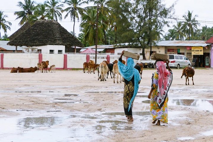 A Half Day Private Nungwi Village Tour (With Turtles Aquarium)