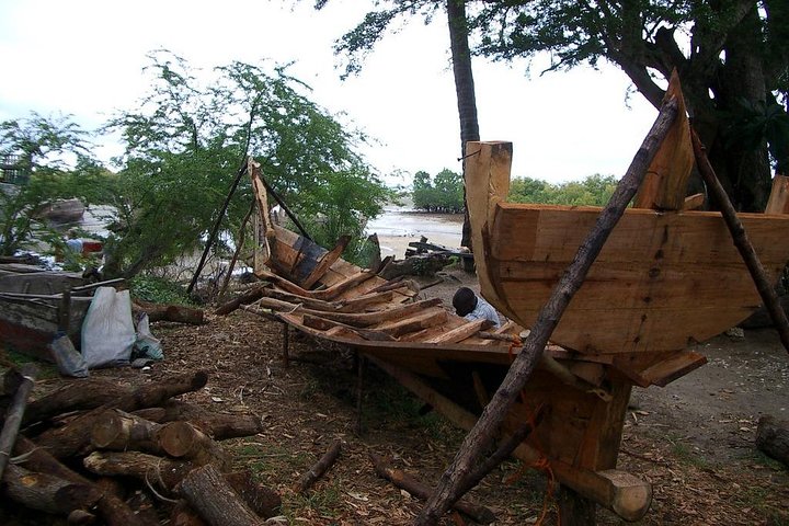 A Half Day Private Nungwi Village Tour (With Turtles Aquarium)