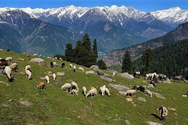 Private One Day Hiking Trip in Manali, Scenic Mountain Trail in Manali