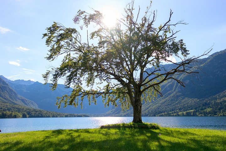 Lake Bled and Bohinj with Savica waterfall included