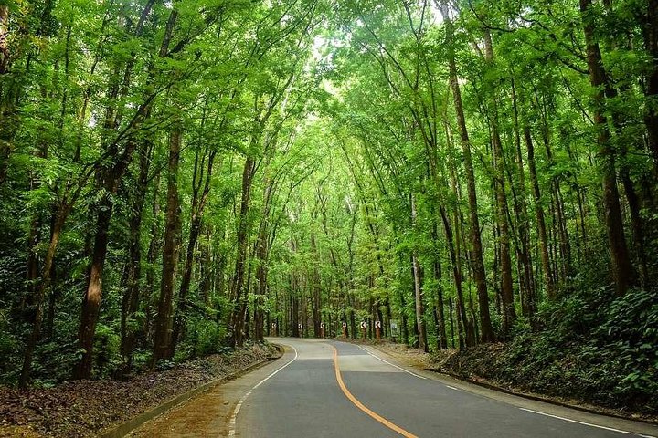 Bohol Countryside Tour from Cebu Loboc River Cruise with Lunch