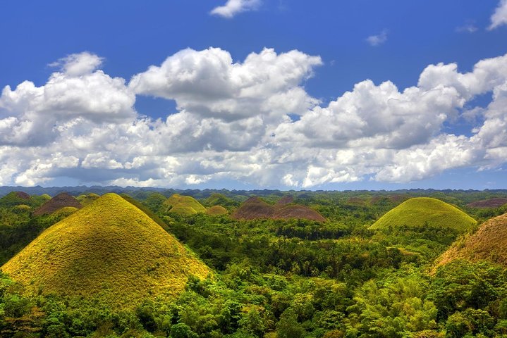 Bohol Countryside Tour from Cebu Loboc River Cruise with Lunch