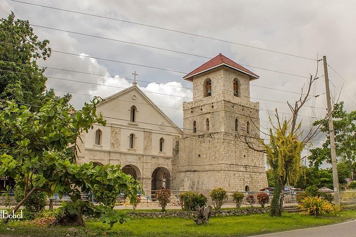 Bohol Countryside Tour from Cebu Loboc River Cruise with Lunch