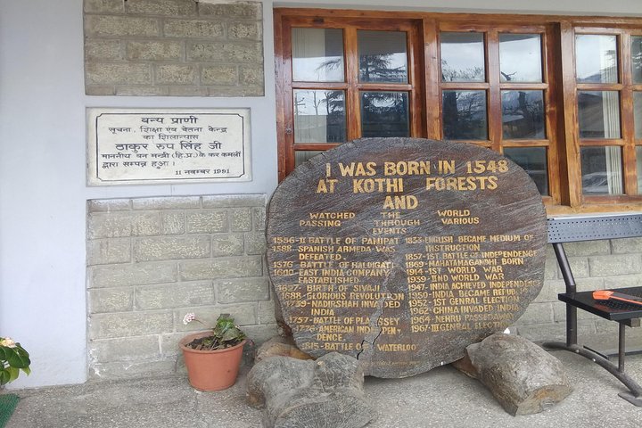 Heritage & Cultural Walking Tour Manali (2 Hours Guided Walking Tour)