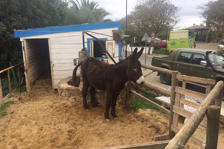 Explore the Algarve Countryside - Half Day Jeep Safari Trip
