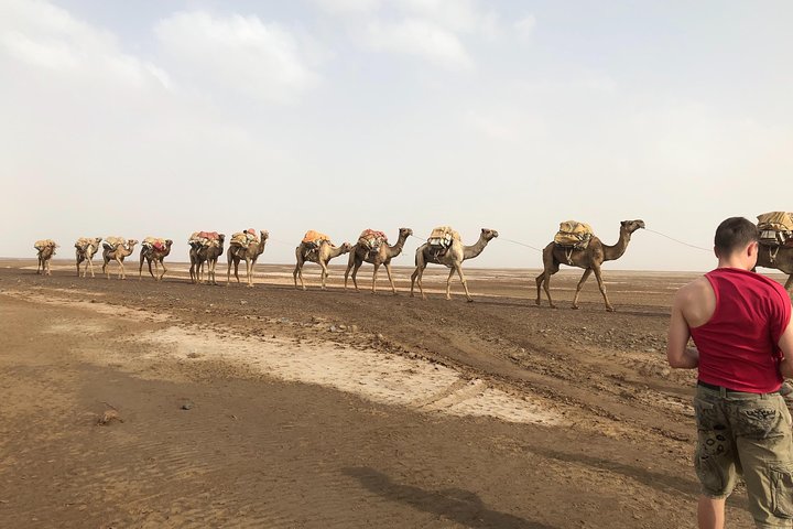 4-Day Tour: Tigray Churches & Danakil Depression Adventure.
