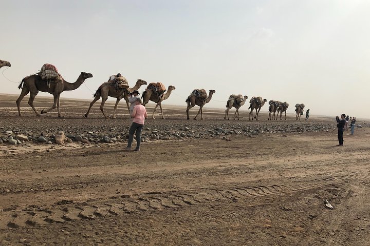 4-Day Tour: Tigray Churches & Danakil Depression Adventure.