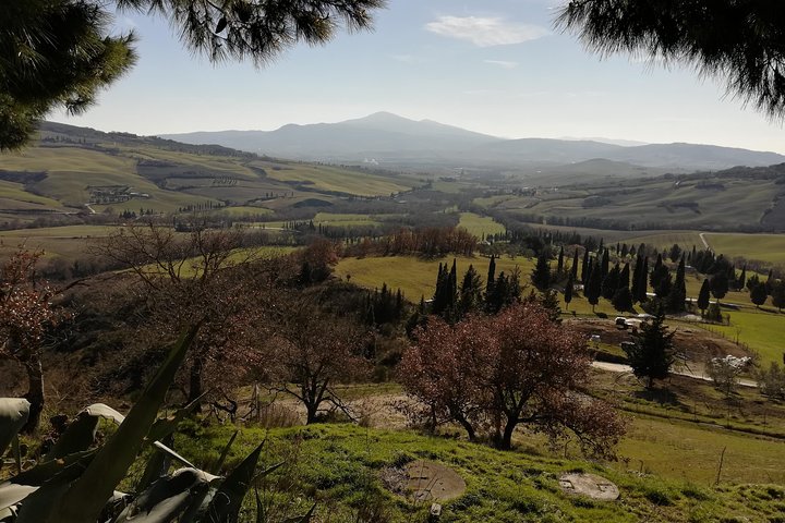 Small-Group Montepulciano and Pienza Day Trip from Siena