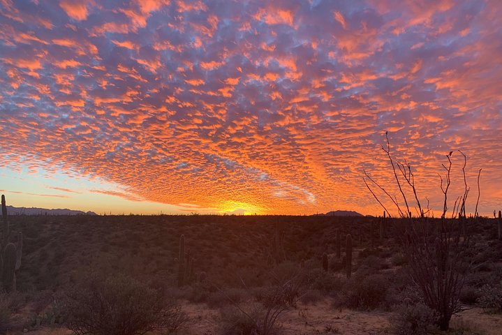 Sonoran Desert Jeep Tour at Sunset