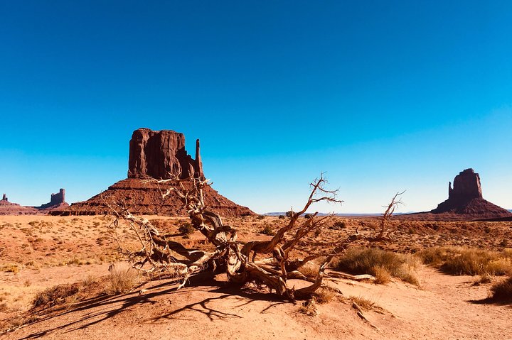 Monument Valley Extended Backcountry Tour