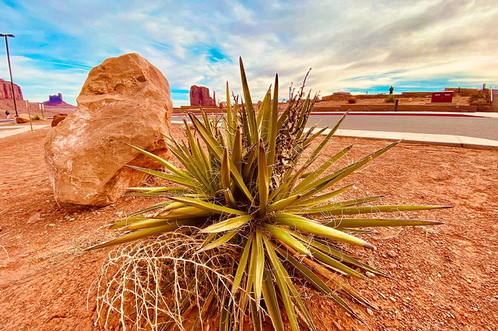 Monument Valley Extended Backcountry Tour