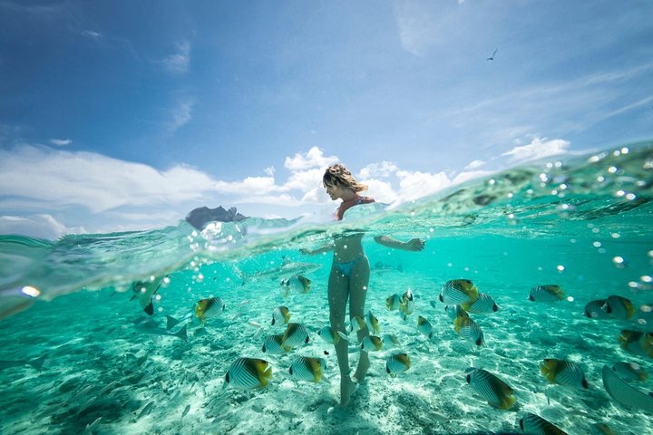 Bora Bora Eco Snorkel Cruise Including Snorkeling with Sharks and Stingrays