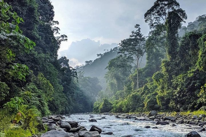 TOUR PACKAGE (jungle trekking, taxi, Room) 4 DAYS 3 NIGHTS in BUKIT LAWANG