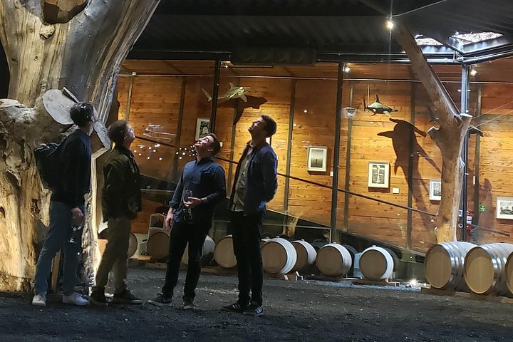 PRIVATE WINETASTING TOUR (Transportation,custom schedule)