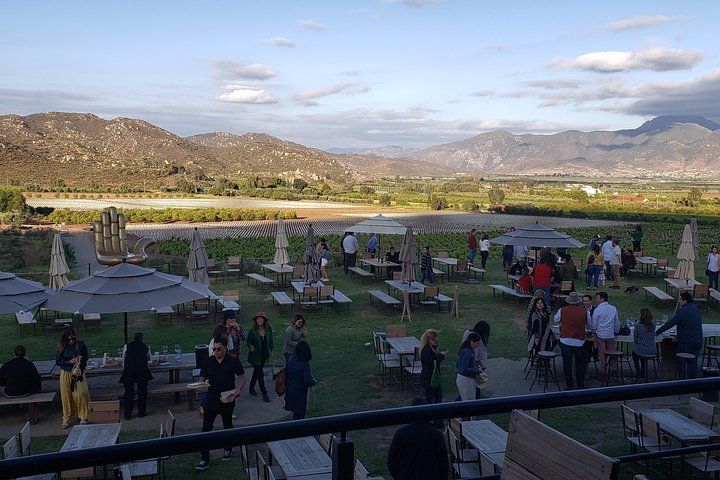 PRIVATE WINETASTING TOUR (Transportation,custom schedule)