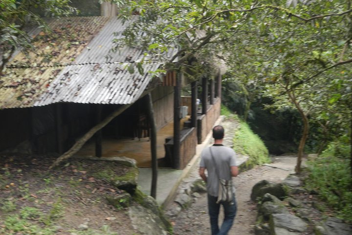 Jungle Tours - Amazon | Full Day | Various activities