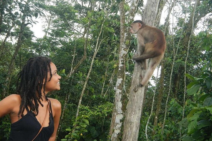Jungle Tours - Amazon | Full Day | Various activities