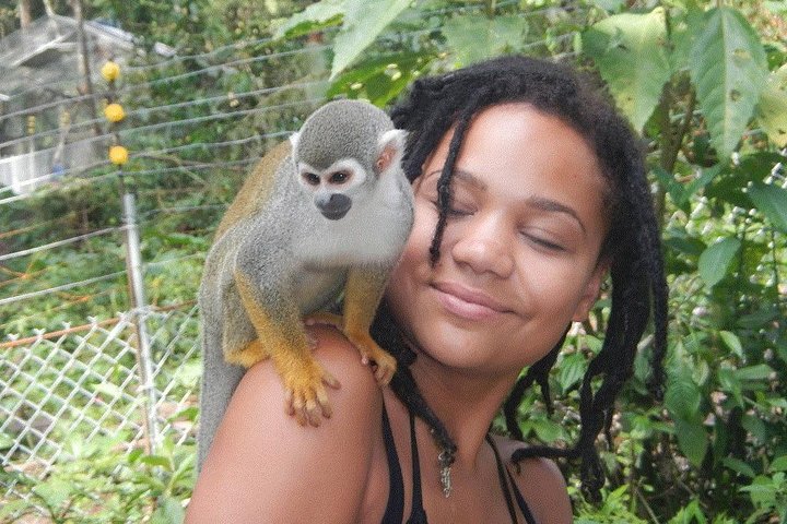 Jungle Tours - Amazon | Full Day | Various activities