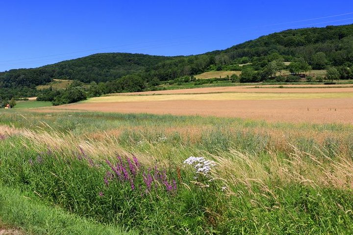 Bamberg Countryside Breweries Beer Hike Food Experience